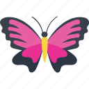 Rose 3