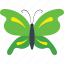 Vert