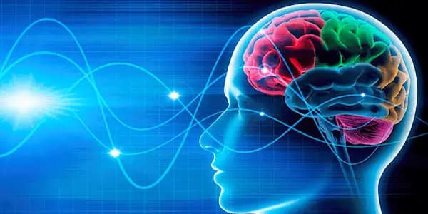 neuroplasticity1 min